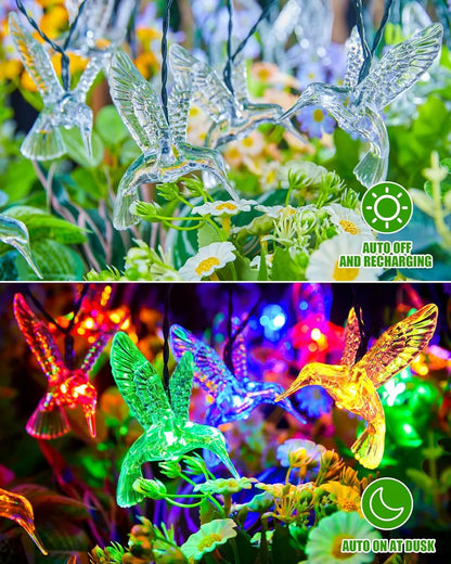 Luces Led Solares de Colibrí Multicolor